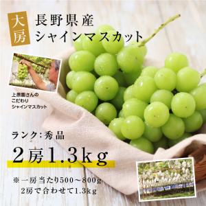 シャインマスカット 長野県産 1.3kg 2房...の詳細画像4