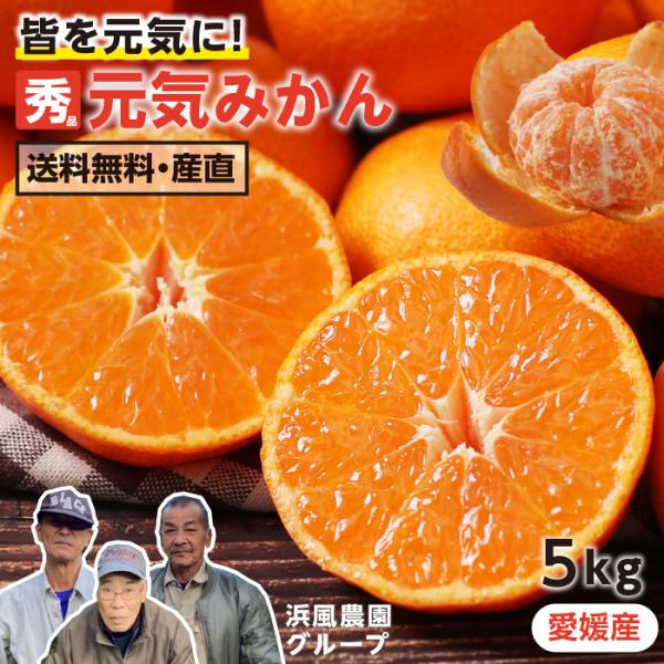 みかん 元気みかん 5kg 秀品 愛媛県産 S~Lサイズ 浜風農園 数量限定 -S10J ミカン 小...