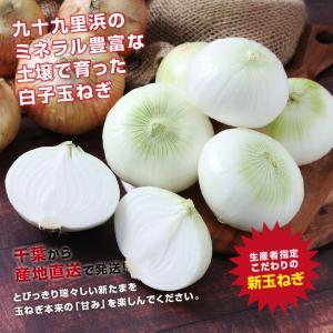 新玉ねぎ 千葉県 白子町産 10kg 大玉厳選...の詳細画像3