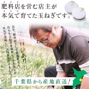 新玉ねぎ 千葉県 白子町産 10kg 大玉厳選...の詳細画像4