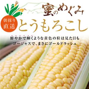 とうもろこし ゴールドラッシュ 長野県産 10...の詳細画像1