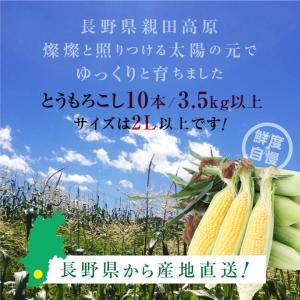 とうもろこし ゴールドラッシュ 長野県産 10...の詳細画像3