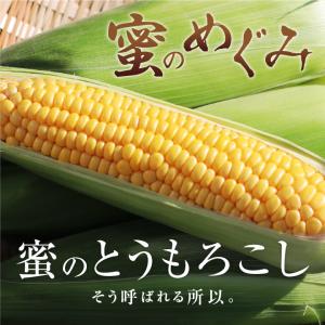 とうもろこし ゴールドラッシュ 長野県産 10...の詳細画像4