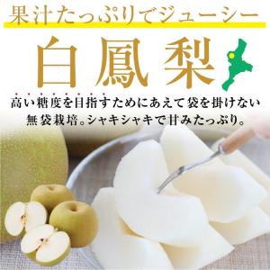 三重県産 白鳳梨 なし 3kg 秀品 7〜9玉...の詳細画像1