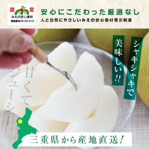 三重県産 白鳳梨 なし 3kg 秀品 7〜9玉...の詳細画像3