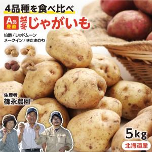 北海道産 越冬じゃがいも A品 4種の食べ比べセット 5kg きたあかり メークイン 伯爵 レッドムーン M〜Lサイズ -S01T 送料無料 ４種ミックス 爆買