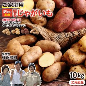 北海道産 越冬じゃがいも 訳あり 10kg きたあかり メークイン 伯爵 レッドムーン 4種類から選べる サイズ混合 -S01T ご家庭用 送料無料