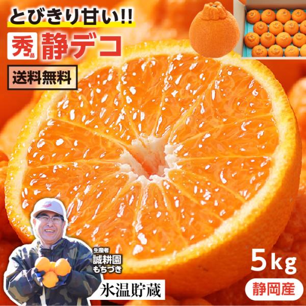 不知火 みかん 5kg 2L~3L 静岡県産 秀品 16~18玉 送料無料 ミカン 甘い オレンジ ...