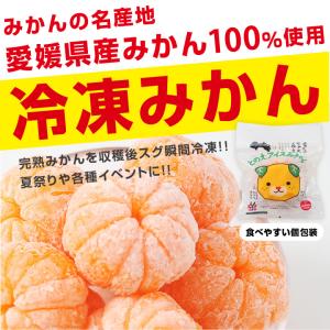 冷凍みかん 愛媛県産 10個 2セット購入で1...の詳細画像1