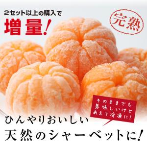 冷凍みかん 愛媛県産 10個 2セット購入で1...の詳細画像4