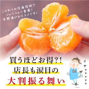 冷凍みかん 愛媛県産 10個 2セット購入で1...の詳細画像5