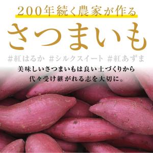 さつまいも 5kg 千葉県産 貯蔵熟成品 S〜...の詳細画像1