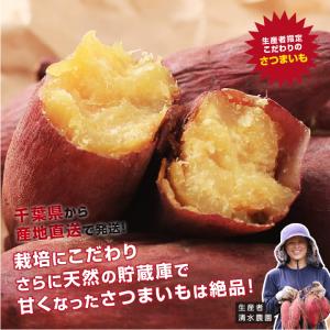 さつまいも 5kg 千葉県産 貯蔵熟成品 S〜...の詳細画像2