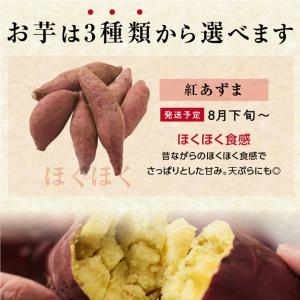 さつまいも 5kg 千葉県産 貯蔵熟成品 S〜...の詳細画像4