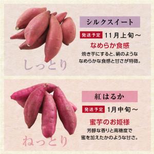 さつまいも 5kg 千葉県産 貯蔵熟成品 S〜...の詳細画像5