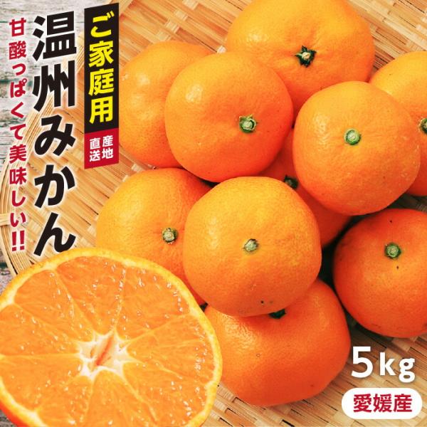 みかん 訳あり お徳用 5kg 愛媛県産 温州みかん 小〜大玉 ご家庭用 ミカン 蜜柑 柑橘 みかん...