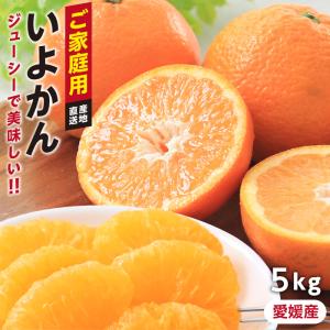 伊予柑 訳あり 5kg いよかん 愛媛県産 L〜3Lサイズ 送料無料 お徳用 ご家庭用 柑橘 愛媛 興居島 -S02J 5キロ 甘い 甘酸っぱい おいしい 旬の果物 産地直送 爆買
