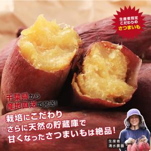 さつまいも 紅はるか 5kg 千葉県産 貯蔵熟...の詳細画像2