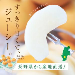 長野県産 梨 約3kg 秀品 6〜9玉 送料無...の詳細画像3