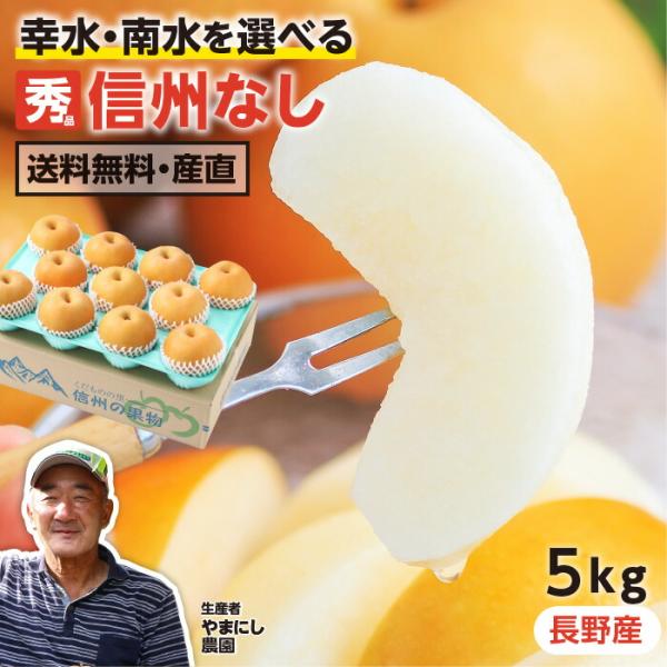 長野県産 梨 約5kg 秀品 11〜16玉 送料無料 幸水 南水  なし ナシ 産地直送 和梨 信州...