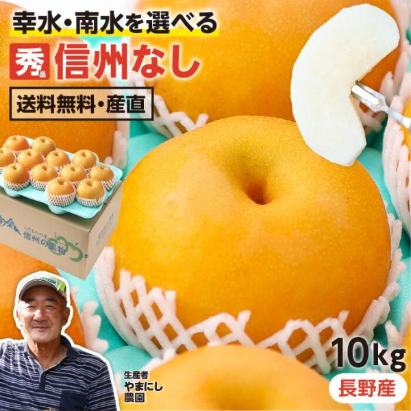 長野県産 梨 約10kg 秀品 22〜32玉 送料無料 幸水 南水 なし ナシ 産地直送 和梨 信州...