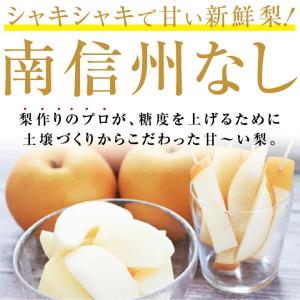 長野県産 梨 約10kg 秀品 22〜32玉 ...の詳細画像1