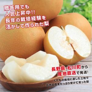 長野県産 梨 約10kg 秀品 22〜32玉 ...の詳細画像2