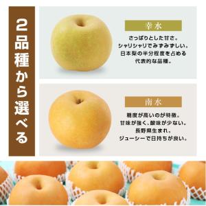長野県産 梨 約10kg 秀品 22〜32玉 ...の詳細画像4
