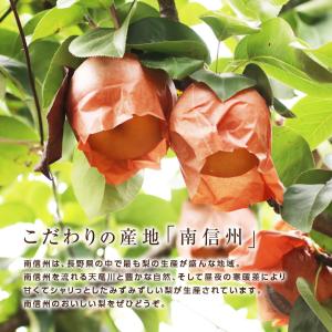 長野県産 梨 約10kg 秀品 22〜32玉 ...の詳細画像5
