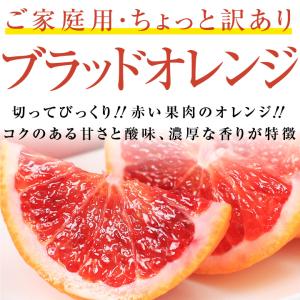 ブラッドオレンジ 国産 オレンジ 愛媛県産 訳...の詳細画像1