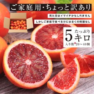 ブラッドオレンジ 国産 オレンジ 愛媛県産 訳...の詳細画像5