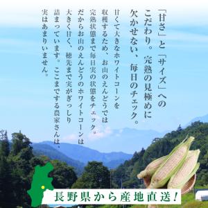 【送料無料】長野県産 ピュアホワイト 3L 白...の詳細画像5