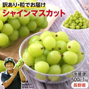 シャインマスカット 粒タイプ 訳あり 長野県産 500g 1kg カット済み 産地直送 信州ぶどう 皮ごと食べられる 人気 鮮度抜群 野の香ファーム 送料無料｜山下屋荘介