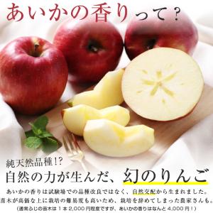 長野県産 りんご あいかの香り 秀品 3kg ...の詳細画像2