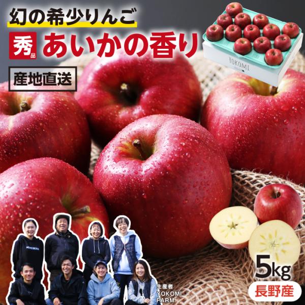 長野県産 りんご あいかの香り 秀品 5kg 10〜18玉 産地直送 希少なりんご 幻 送料無料 Y...