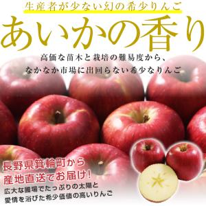 長野県産 りんご あいかの香り 秀品 5kg ...の詳細画像1