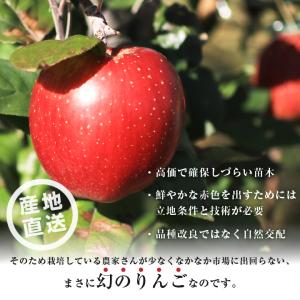 長野県産 りんご あいかの香り 秀品 5kg ...の詳細画像3