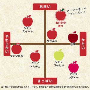 長野県産 りんご あいかの香り 秀品 5kg ...の詳細画像4