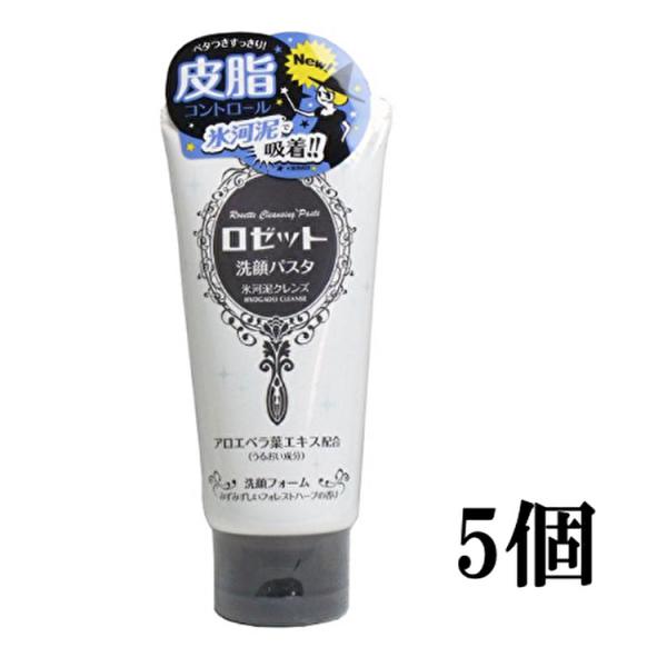 肌のテカリ ベタつきオフ ロゼット 洗顔パスタ 氷河泥クレンズ １２０ｇ 5個セット