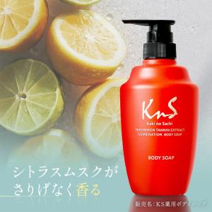 ボディソープ 体臭 加齢臭 メンズ メンズコス...の詳細画像4
