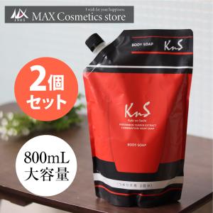 柿のさち KnS 薬用柿渋ボディソープ 詰替パウチ 2個セット｜マックス石鹸WEBSHOP Yahoo!店