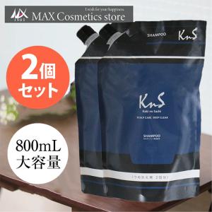 【KnS】デオドラント 加齢臭 汗臭 フケ かゆみ セット 柿のさち メンズコスメ | 薬用柿渋スカルプケアシャンプー詰め替えパウチ800mL×2個｜マックス石鹸WEBSHOP Yahoo!店