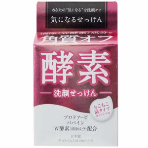 ナガセビューティケア エコルフィー アドバンスド ウォッシュ 洗顔料
