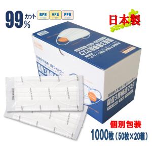 個包装 1000枚 日本製 不織布 マスク 衛生的 立体 プリーツ 呼吸しやすい 携帯しやすい 持ち歩き 高機能 個別包装 不織布マスク 国産 自社工場製造｜