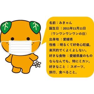 100枚 みきゃん ペールオレンジ 不織布マス...の詳細画像2