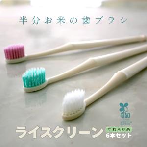 EXPO2025 大阪・関西万博 出展】 山陽物産 お米歯ブラシ ライ