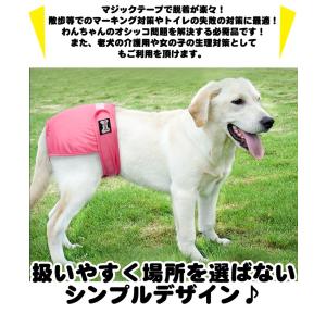 犬 マナーベルト マナーパンツ マナーバンド ...の詳細画像1