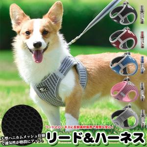 グッチ　 GUCCI 692965 エクストラスモール　レザー XS ハーネス GUCCI（グッチ） 新古未使用展示品 犬用 ハーネス 692965 表記サイズ