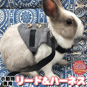 うさぎ ウサギ ベスト ハーネス リード 付 小動物 モルモット フェレット チンチラ プレーリードッグ チェック ペット 服 胴輪 チェック｜ソアリングブリッジ