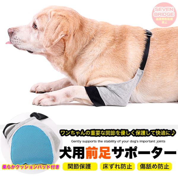 犬 関節サポーター 関節プロテクター 前足後足左右兼用 用 膝 サポーター 関節保護 術後 治療 ペ...